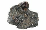 Fluorescent Zircon Crystals in Biotite Schist - Norway #228207-1